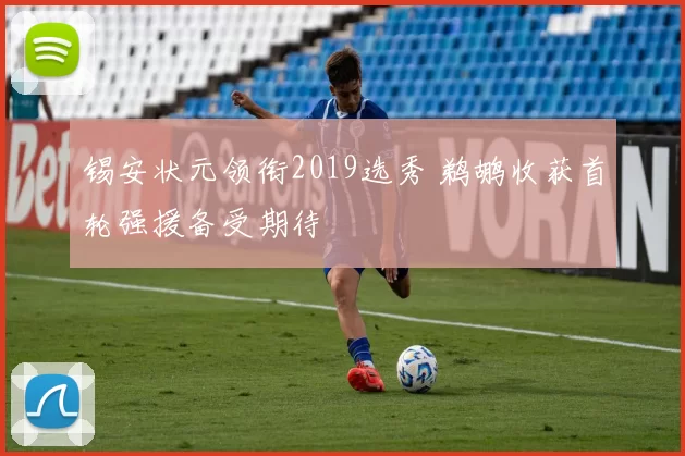 锡安状元领衔2019选秀 鹈鹕收获首轮强援备受期待