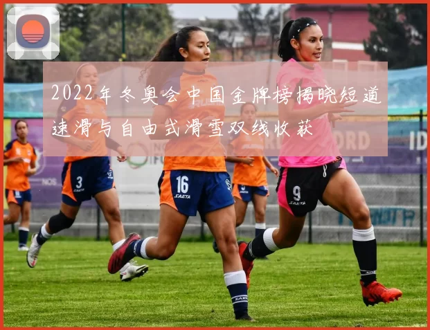2022年冬奥会中国金牌榜揭晓短道速滑与自由式滑雪双线收获