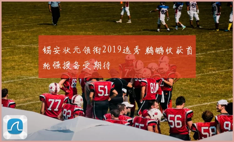 锡安状元领衔2019选秀 鹈鹕收获首轮强援备受期待