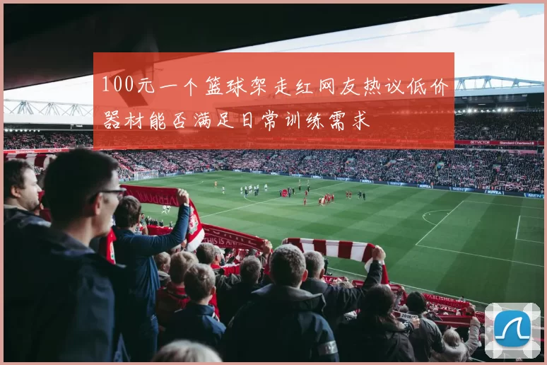 100元一个篮球架走红网友热议低价器材能否满足日常训练需求