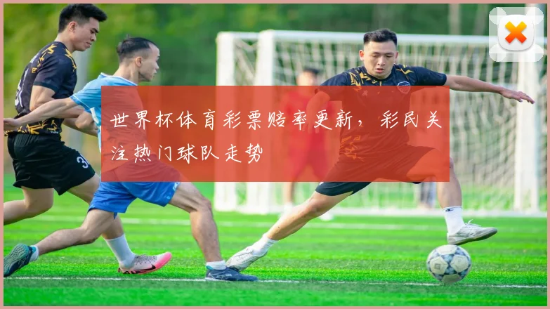 世界杯体育彩票赔率更新,彩民关注热门球队走势
