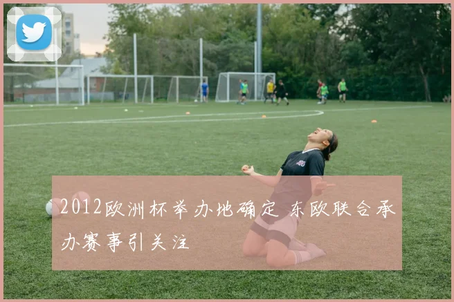 2012欧洲杯举办地确定 东欧联合承办赛事引关注