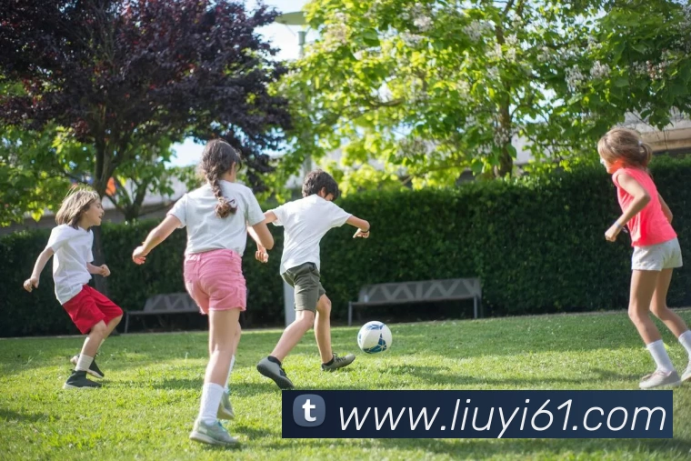 滚球官网app发展历程